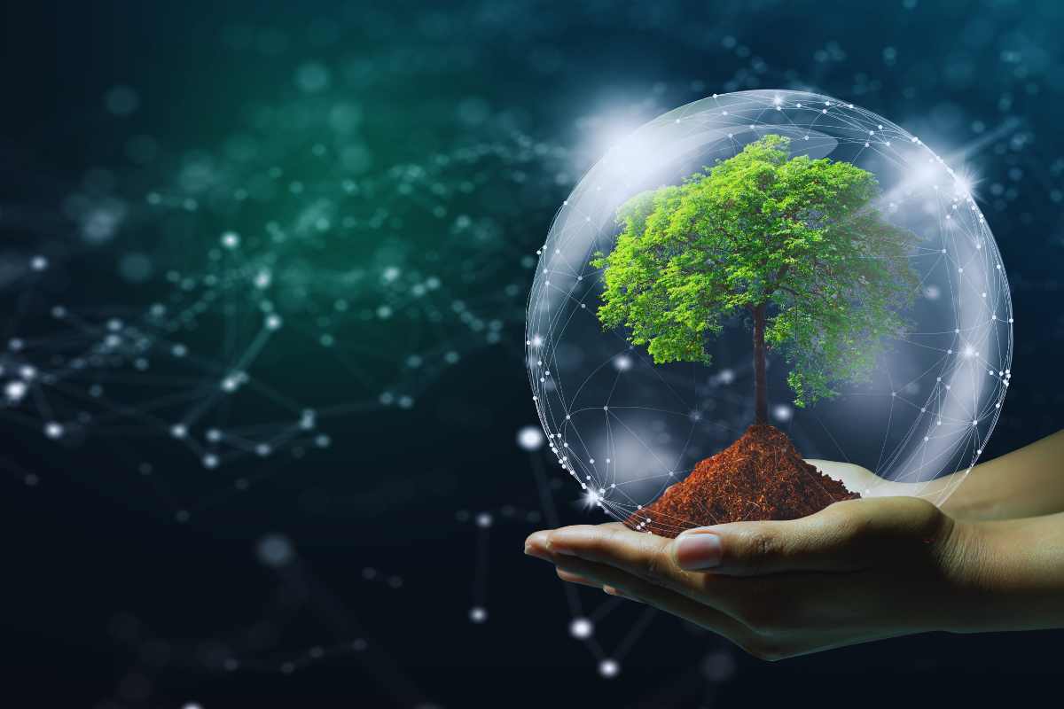 Un albero in una sfera di vetro riposta nelle mani