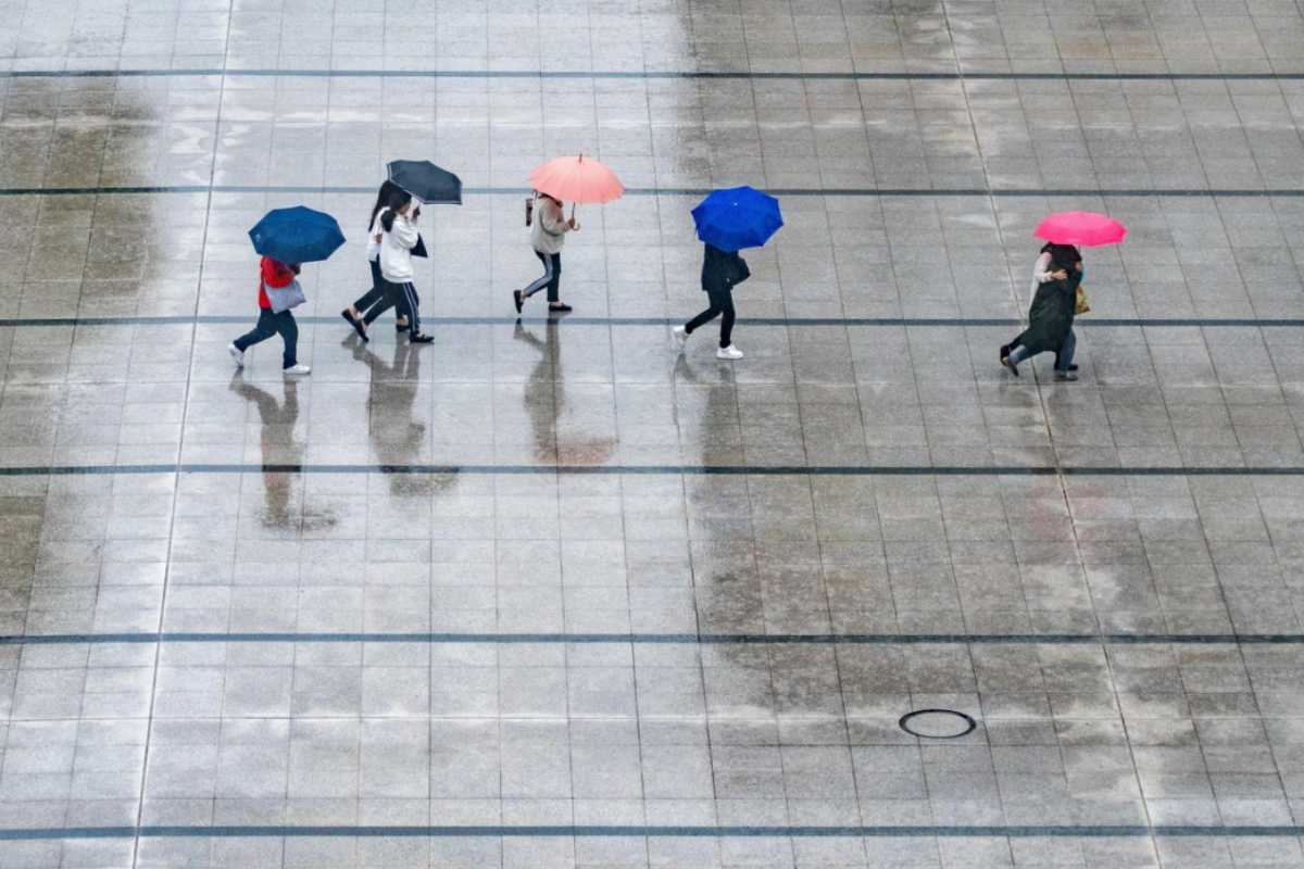 Giornata di pioggia
