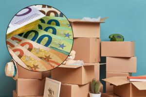 collage scatoloni ed euro