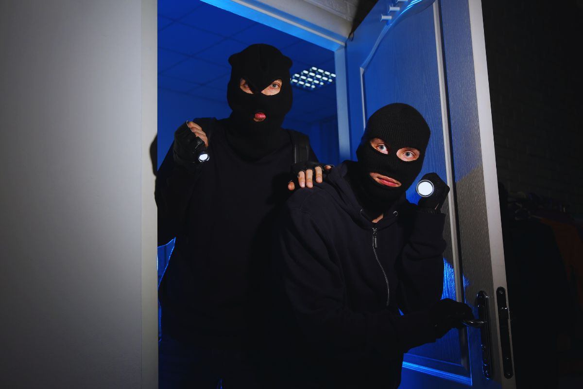 Ladri che s'introducono dalla porta
