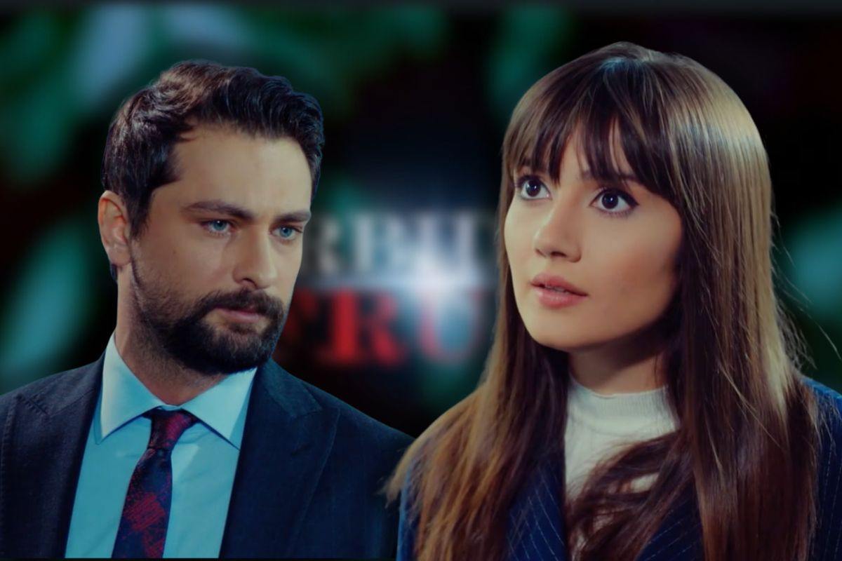 logo forbidden fruit, alihan e zeynep
