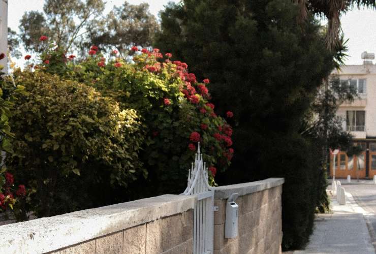 giardino su strada