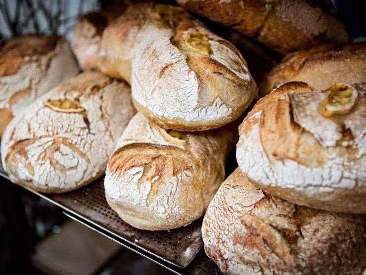 pezzi di pane 