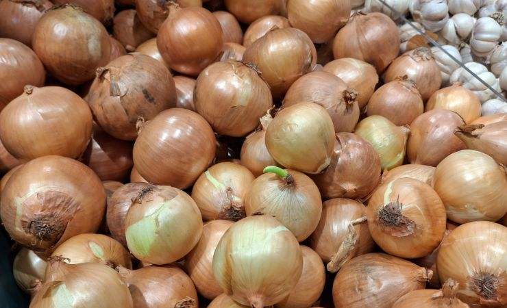 diverse cipolle rosa