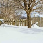 Featured image placeholder 16:9